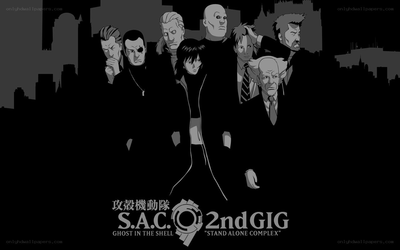 S.A.C. 2nd GIG characters