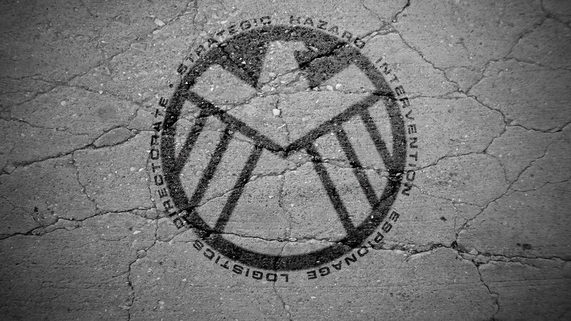 S.H.I.E.L.D. logo on cracked pavement