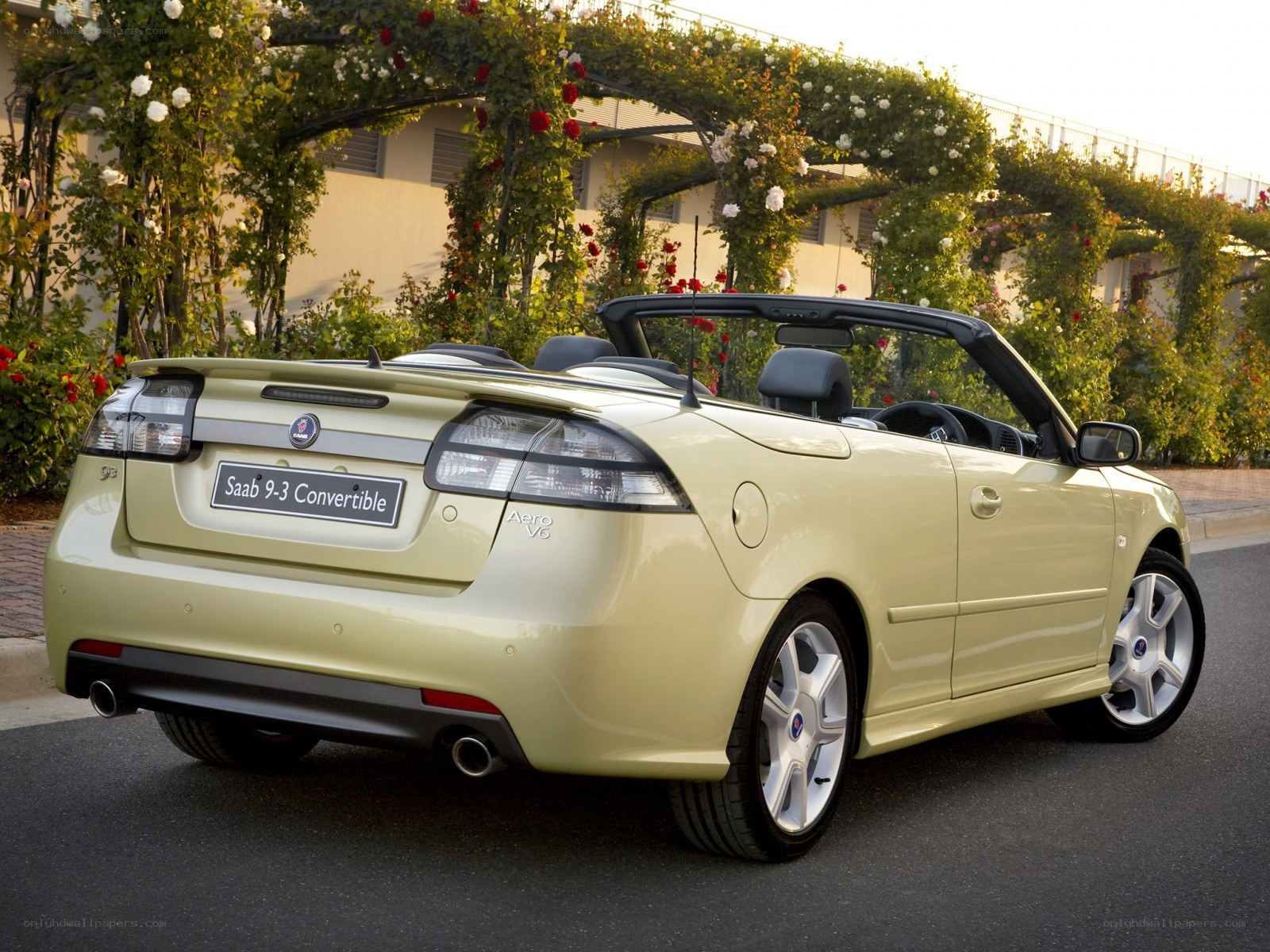 Saab 9-3 Convertible car