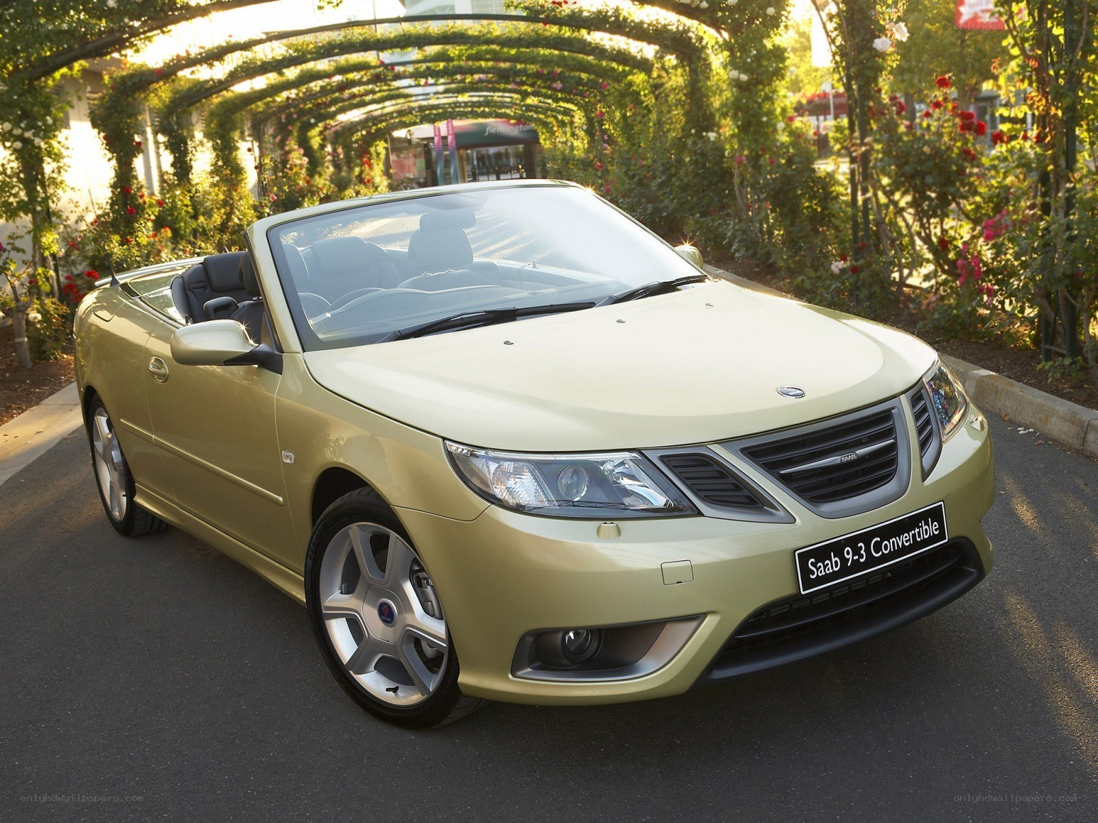 Saab 9-3 Convertible in garden