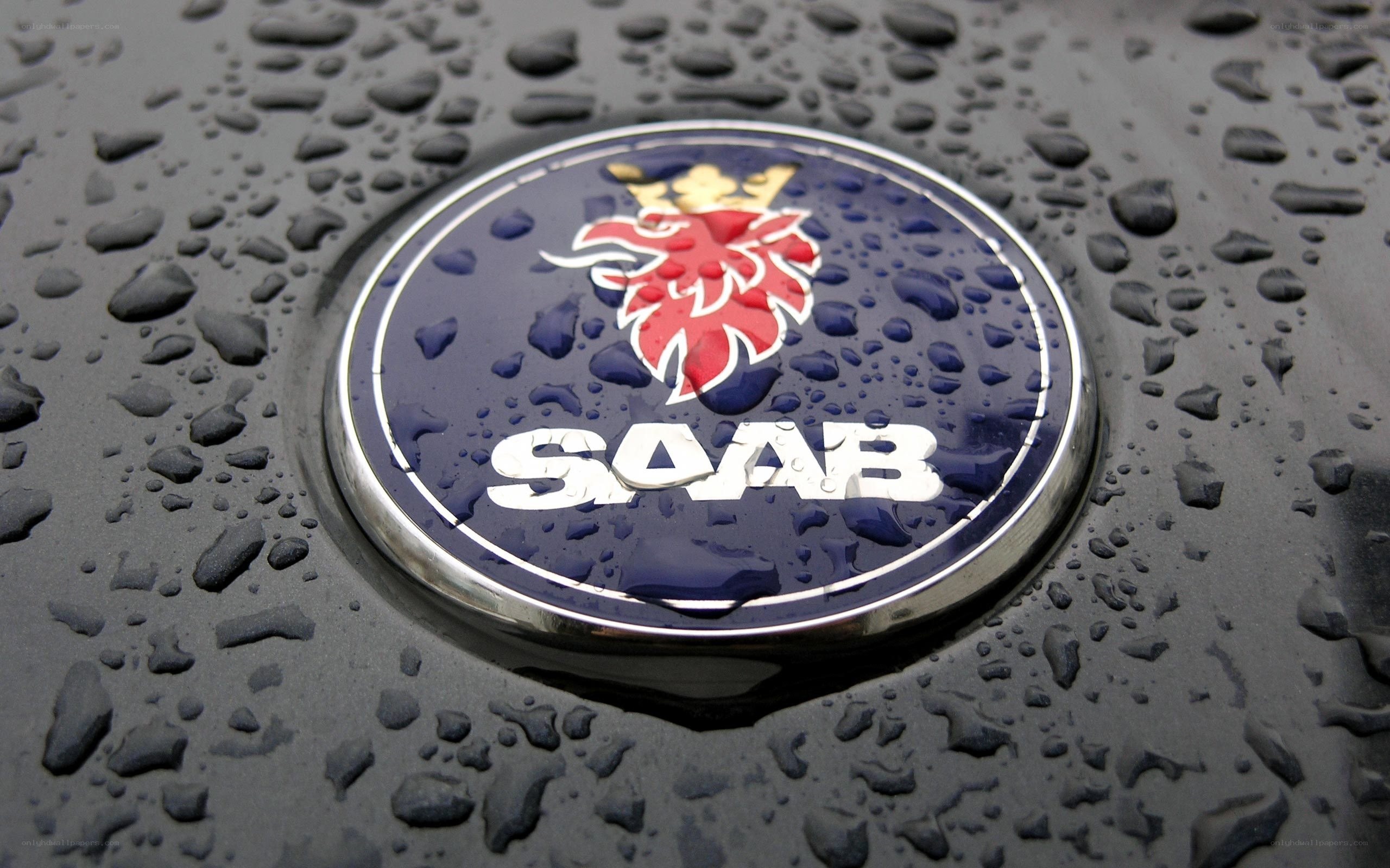 Saab car emblem on wet surface