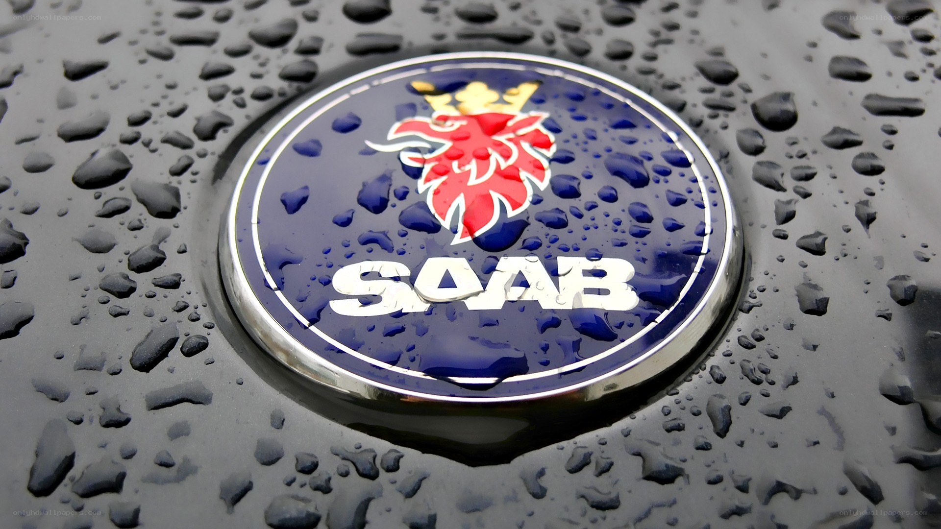 Saab logo on wet surface