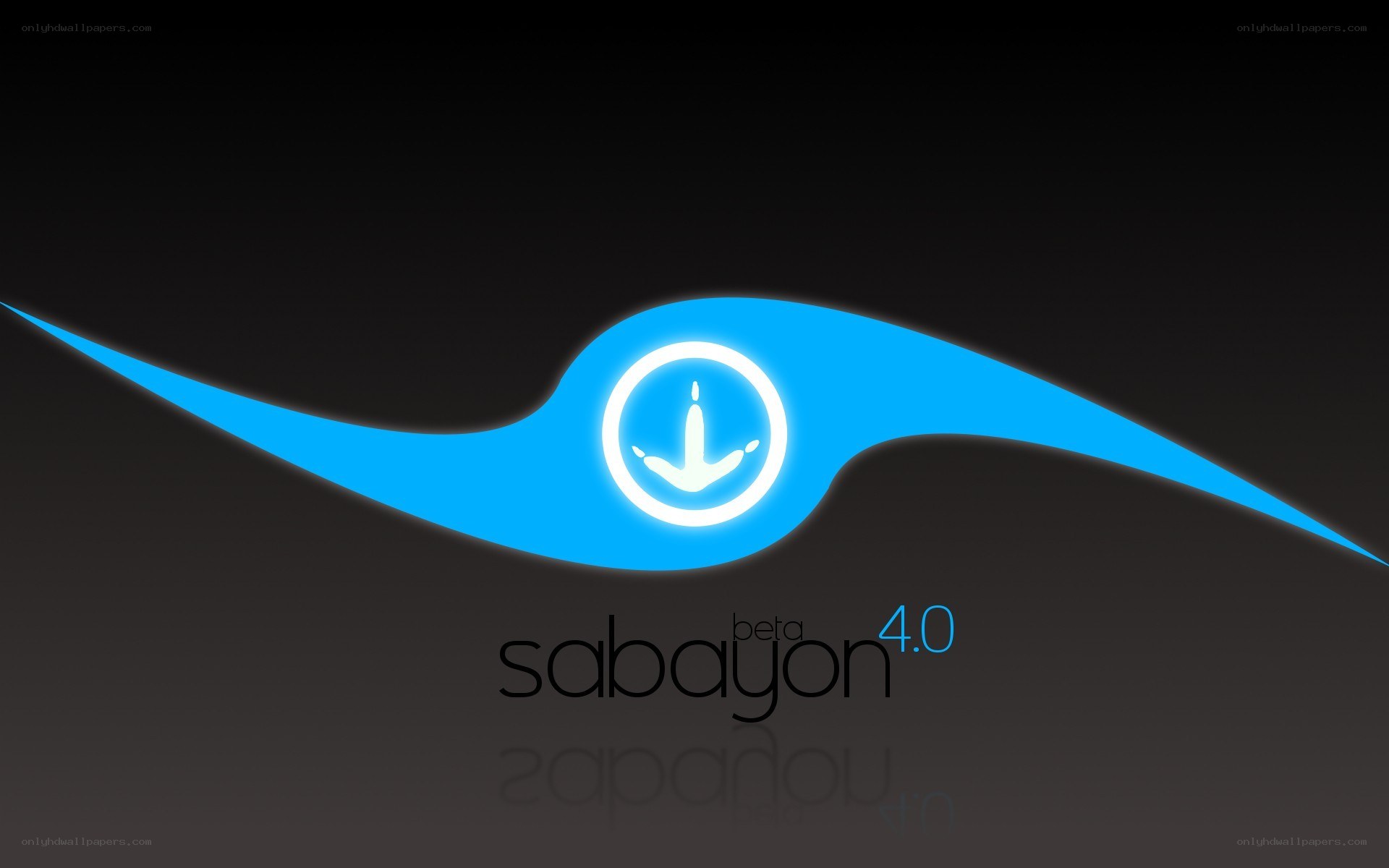 Sabayon Linux 4.0 beta logo