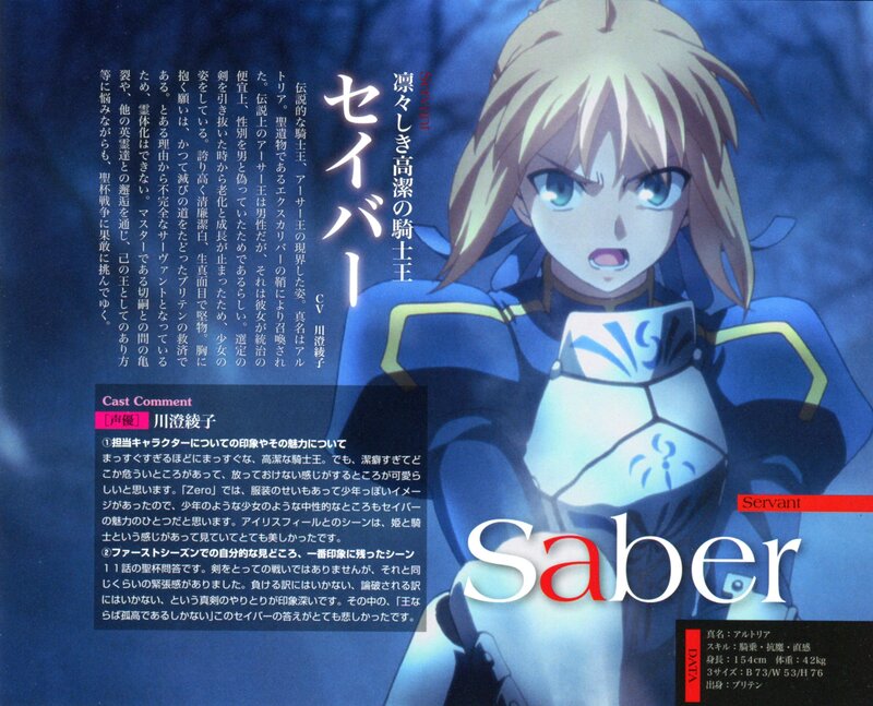 Saber character profile