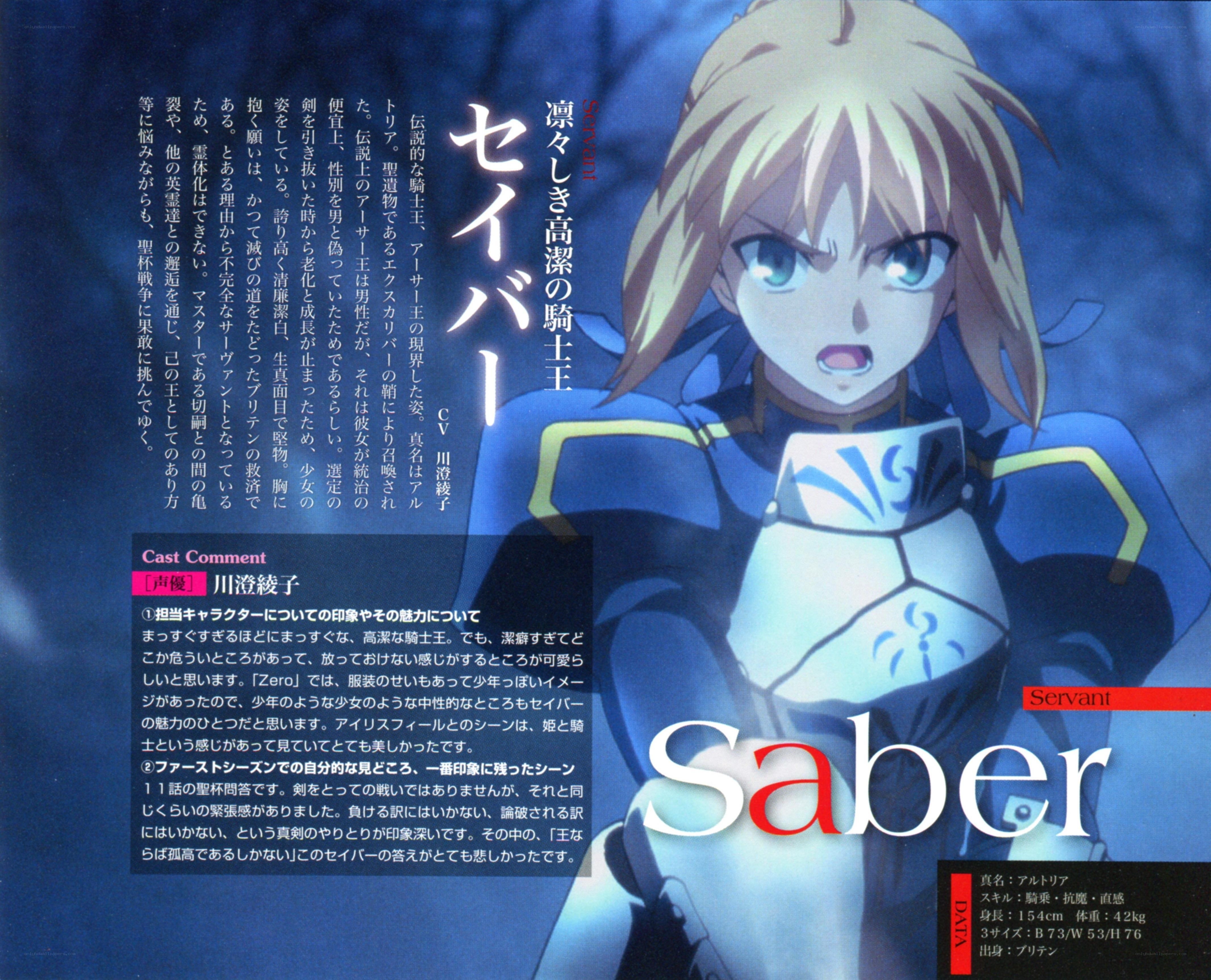 Saber character profile