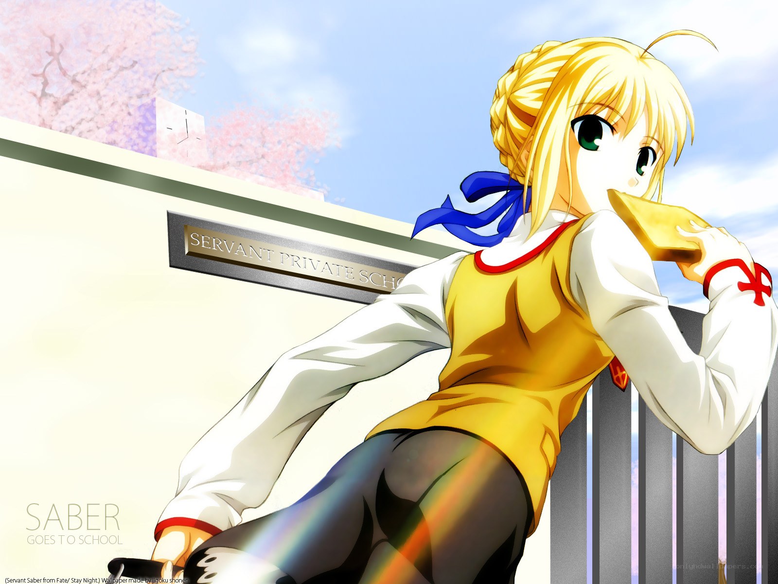 Saber Goes to School