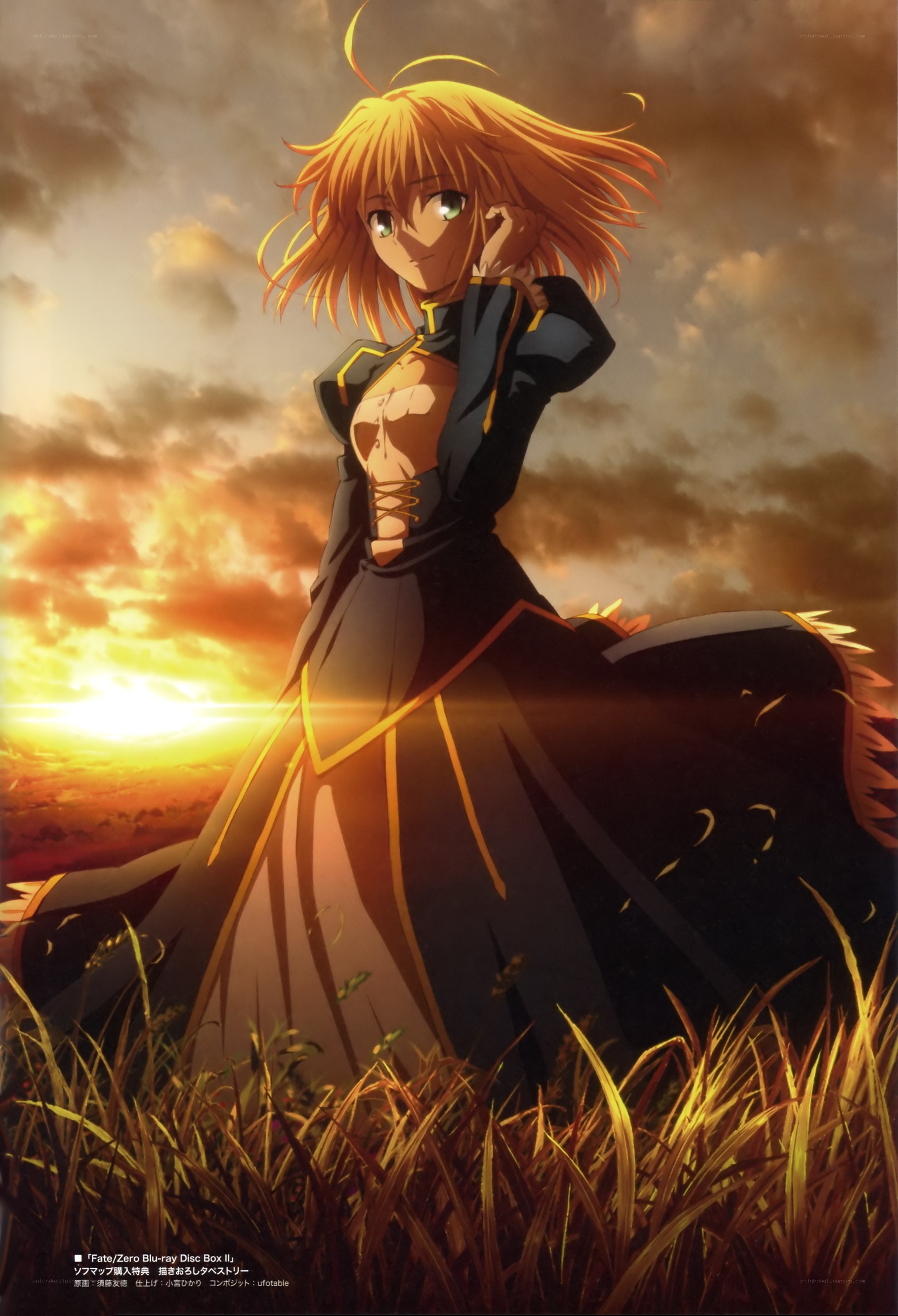 Saber in a field at sunset
