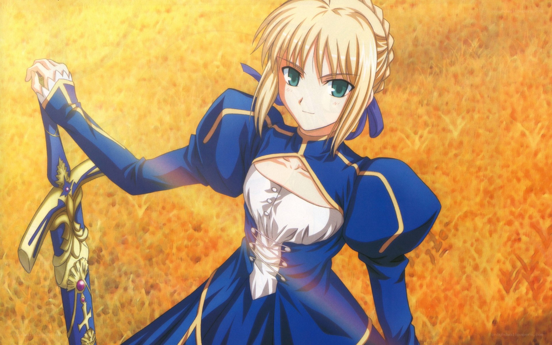 Saber in a golden field