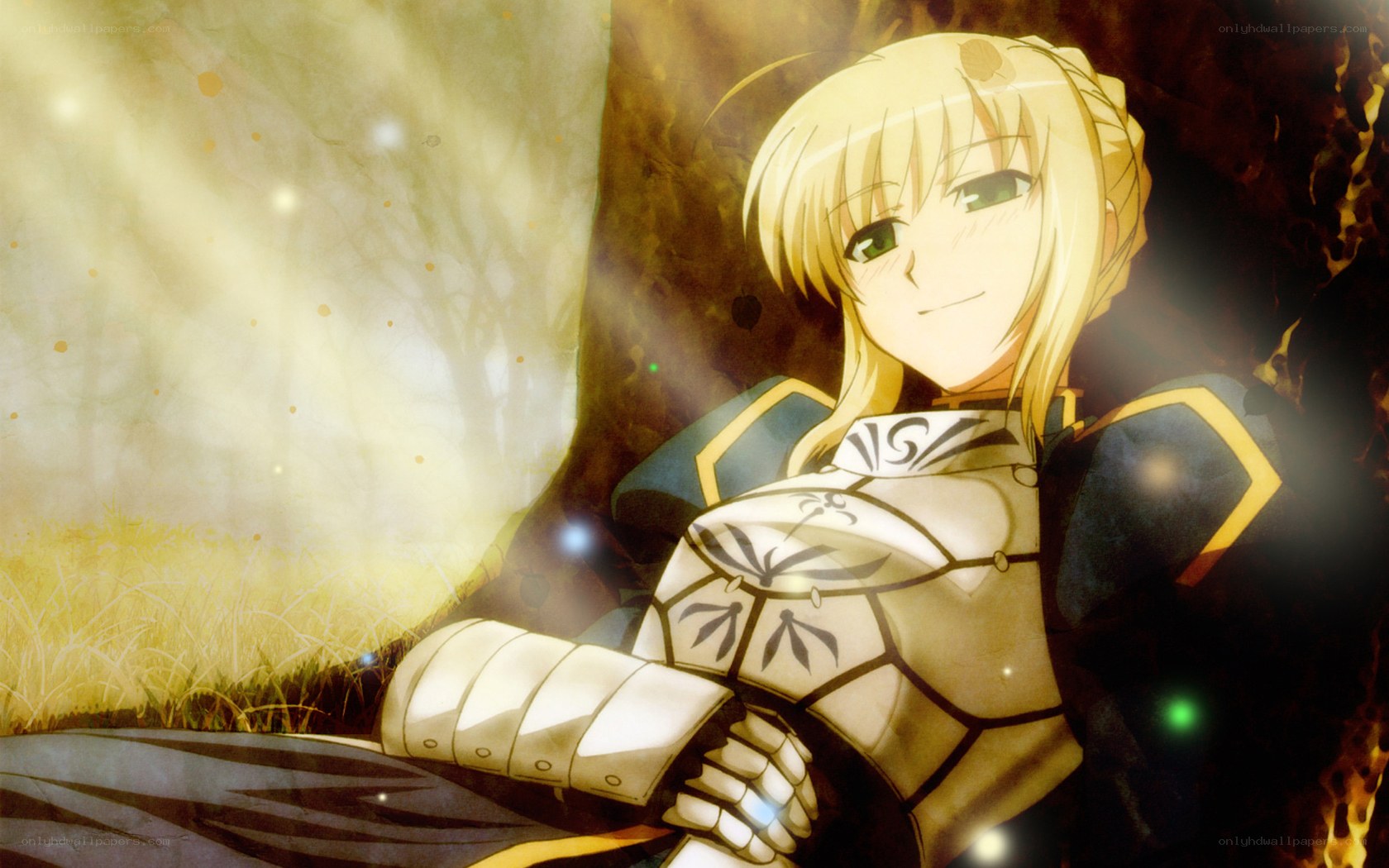 saber in golden light