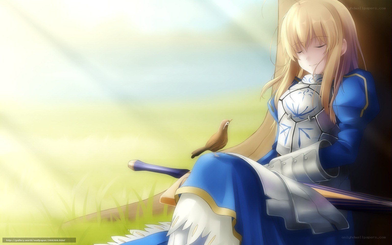 saber in peaceful moment