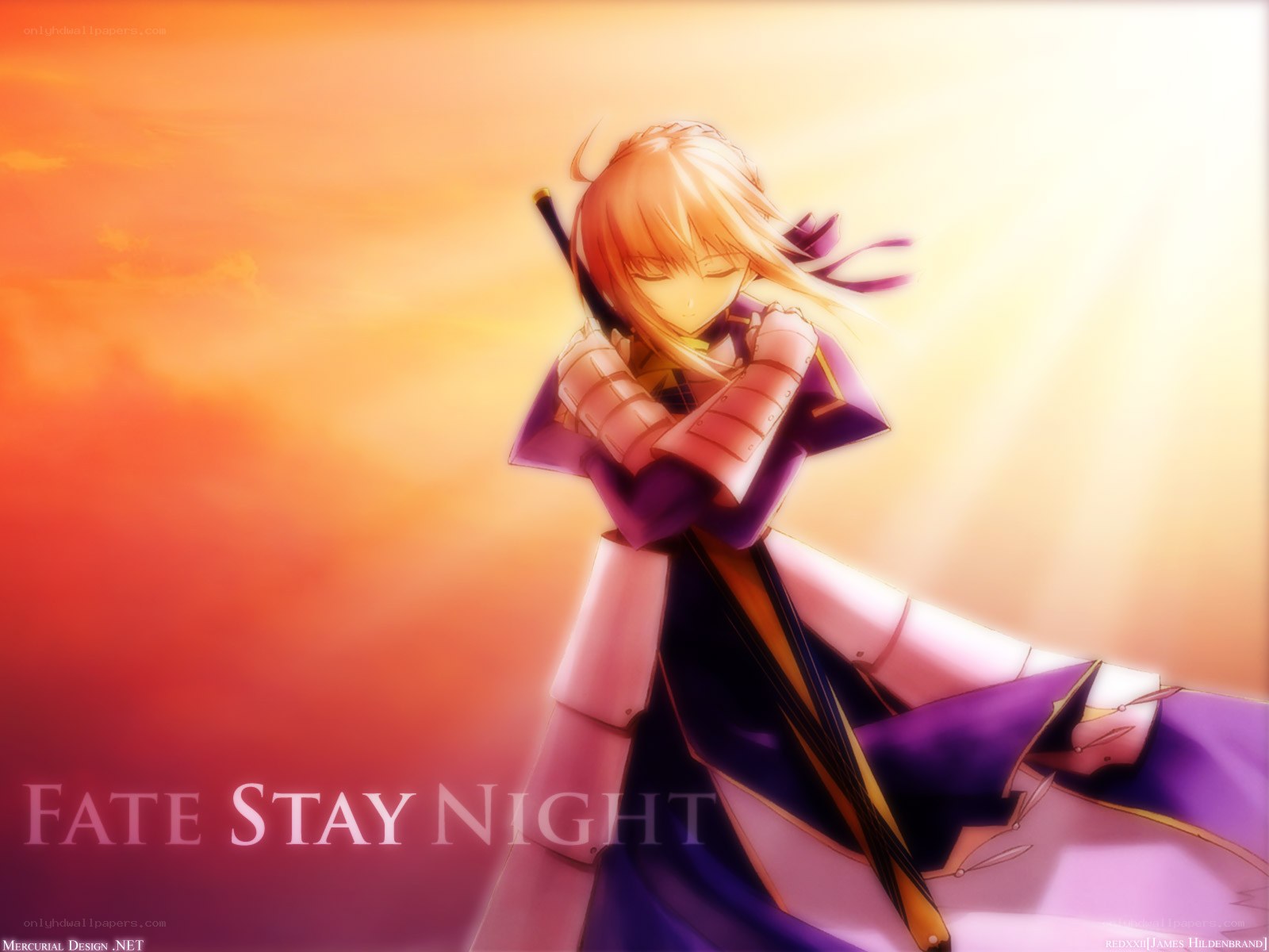 Saber in sunset