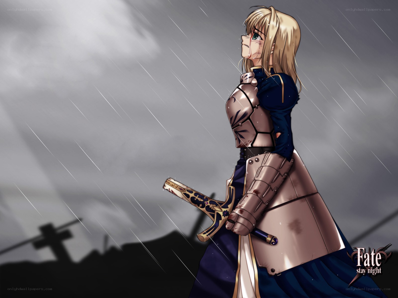 Saber in the rain