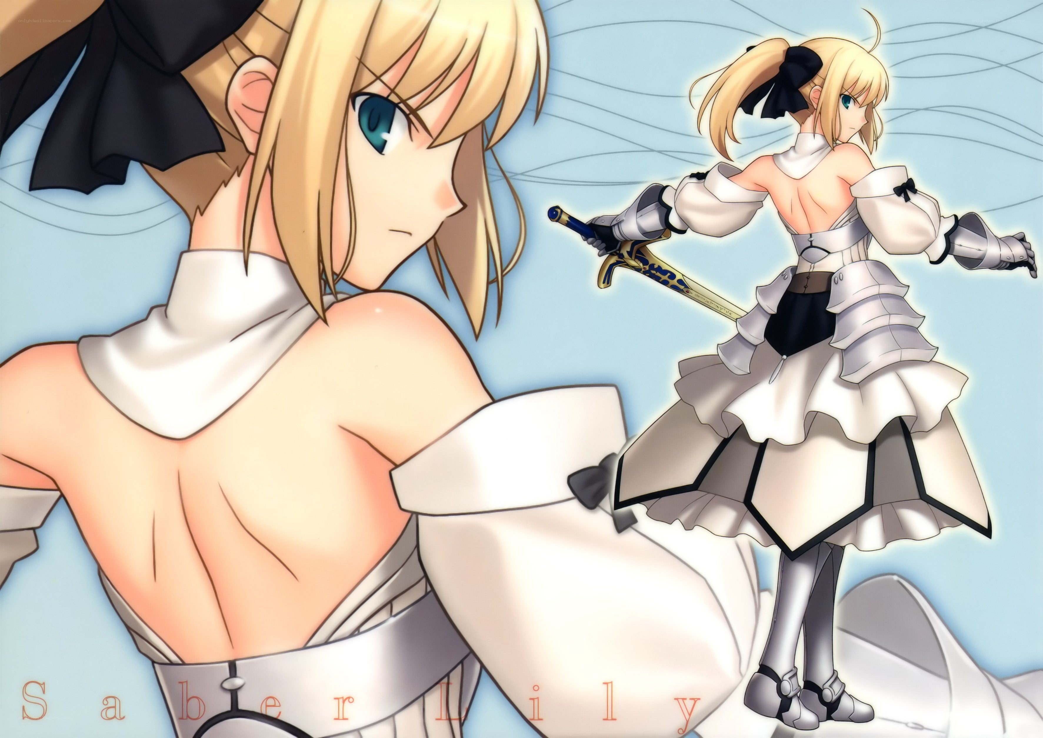 Saber Lily character art