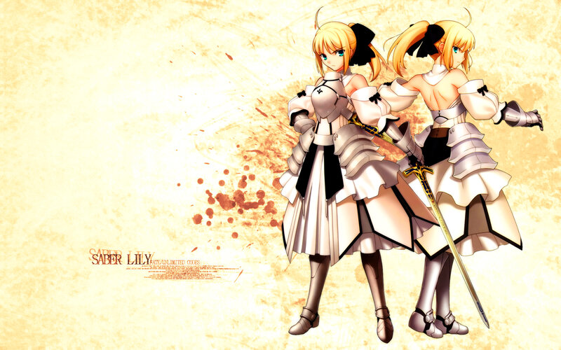Saber Lily from Fate/Unlimited Codes