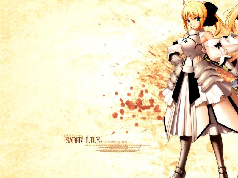 Saber Lily from Fate/Unlimited Codes