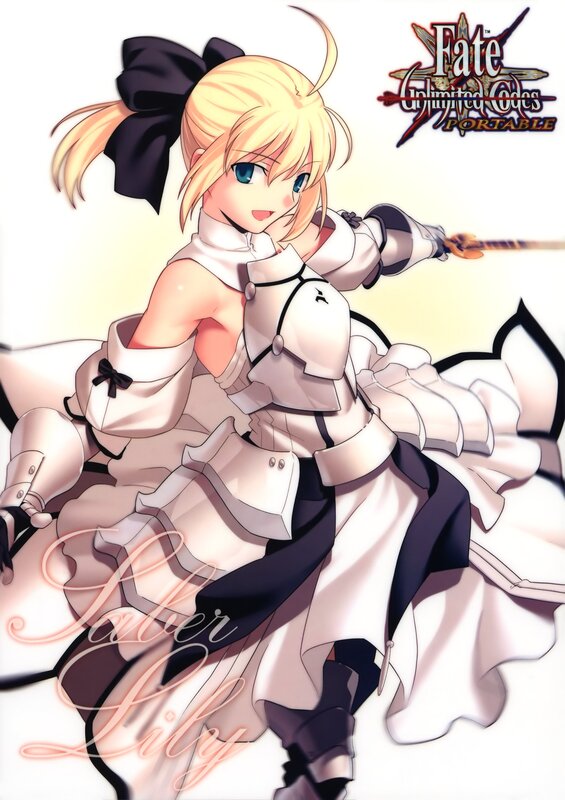 Saber Lily from Fate Unlimited Codes