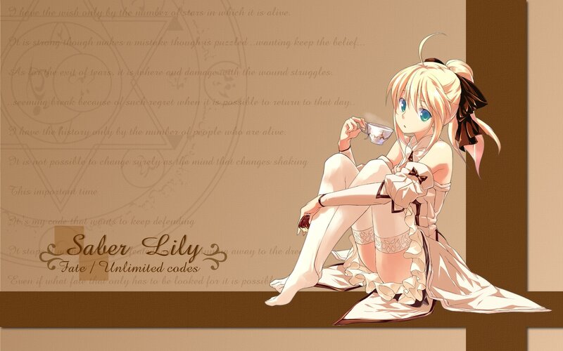 Saber Lily from Fate/Unlimited Codes