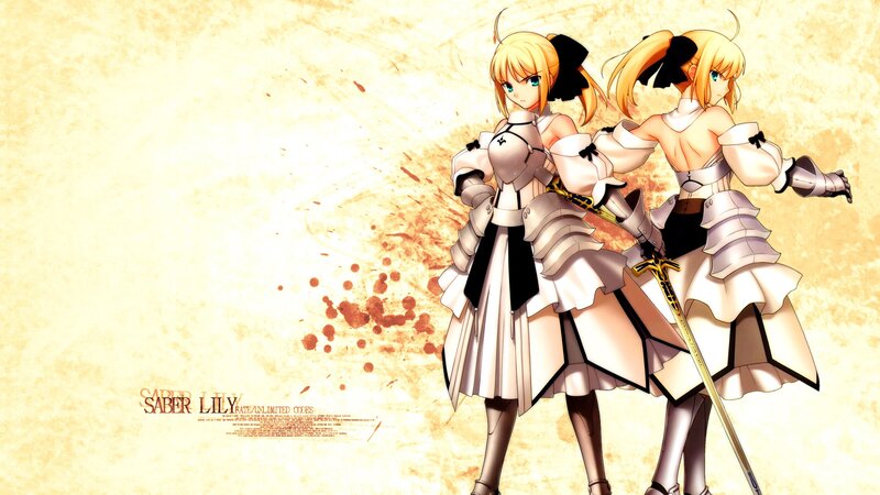 Saber Lily from Fate/Unlimited Codes
