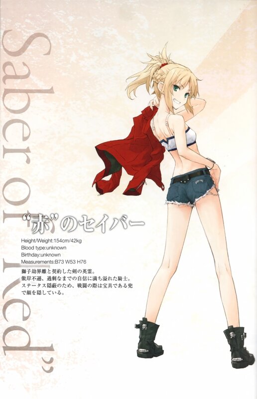Saber of the Red