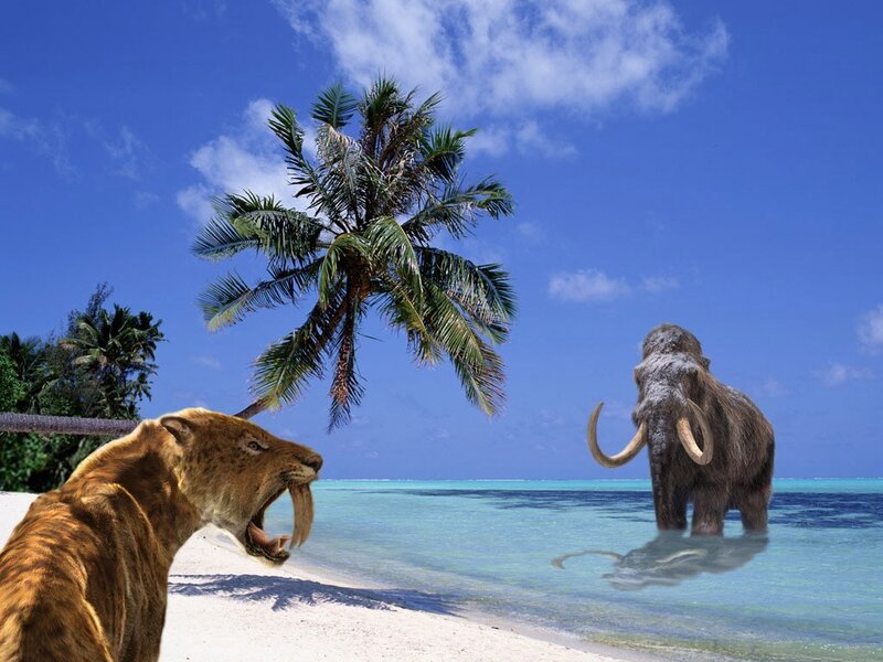 Saber-toothed cat and mammoth on beach