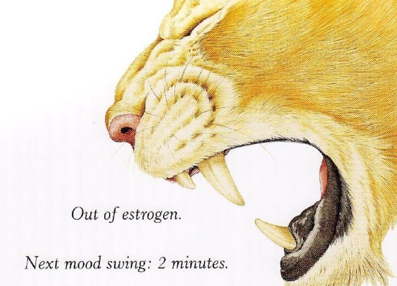 Saber-toothed Cat — Yellow