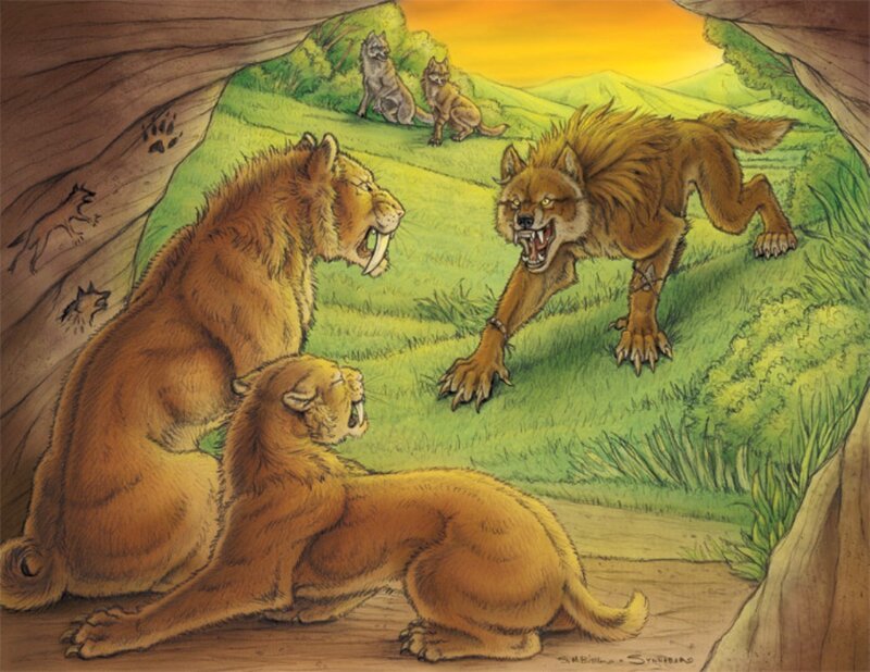Saber-toothed Cats and Wolves