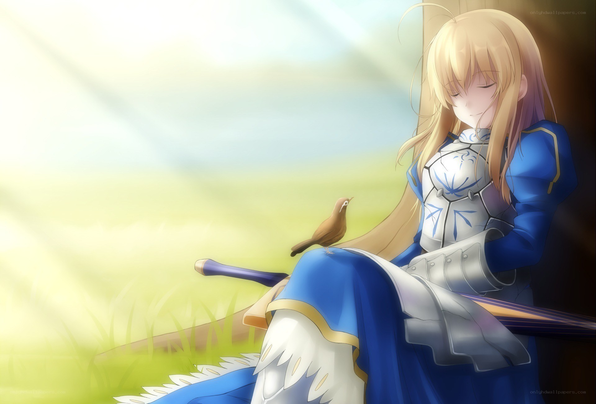 saber with a bird