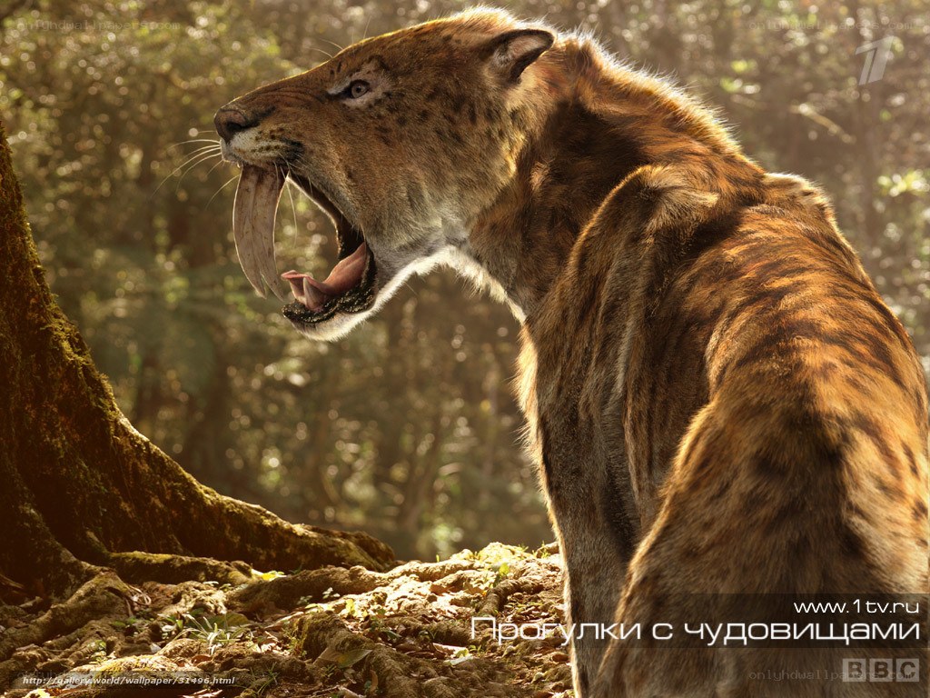 Sabre-toothed cat in forest