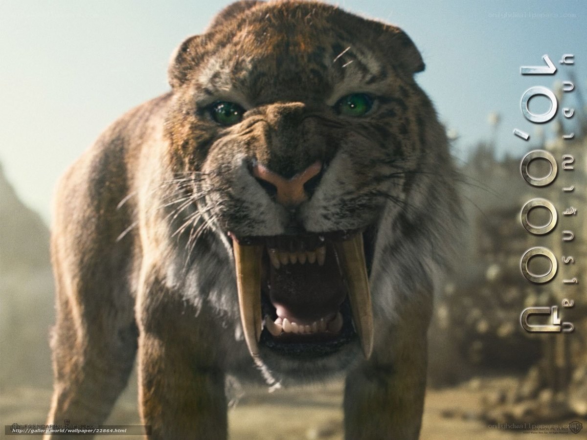 Sabre-toothed tiger from 10,000 BC