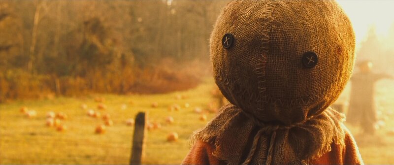 Sack Puppet in Field