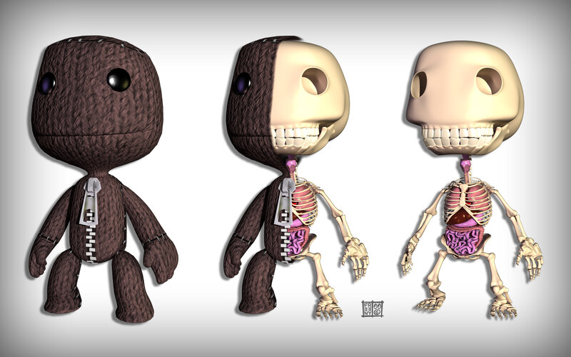 Sackboy character anatomy