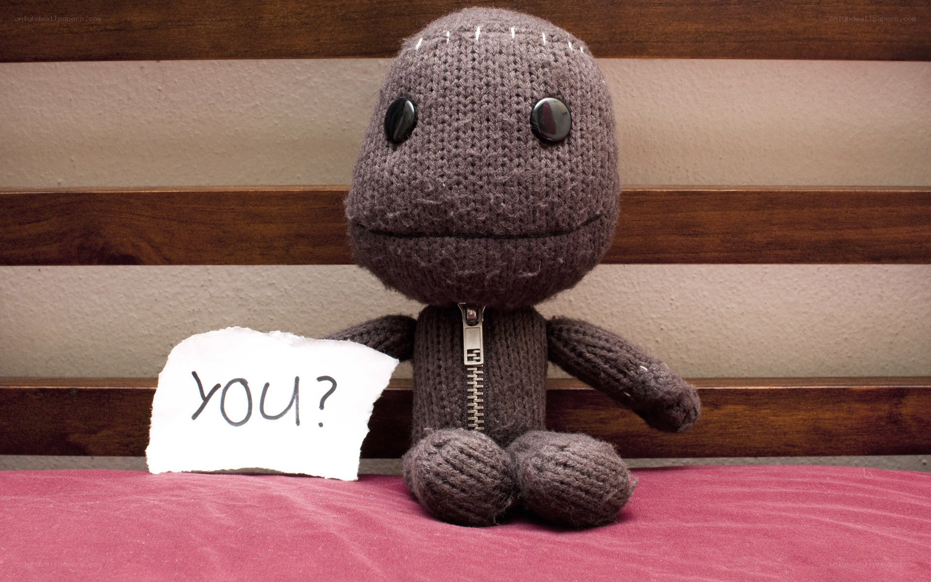 Sackboy with a sign