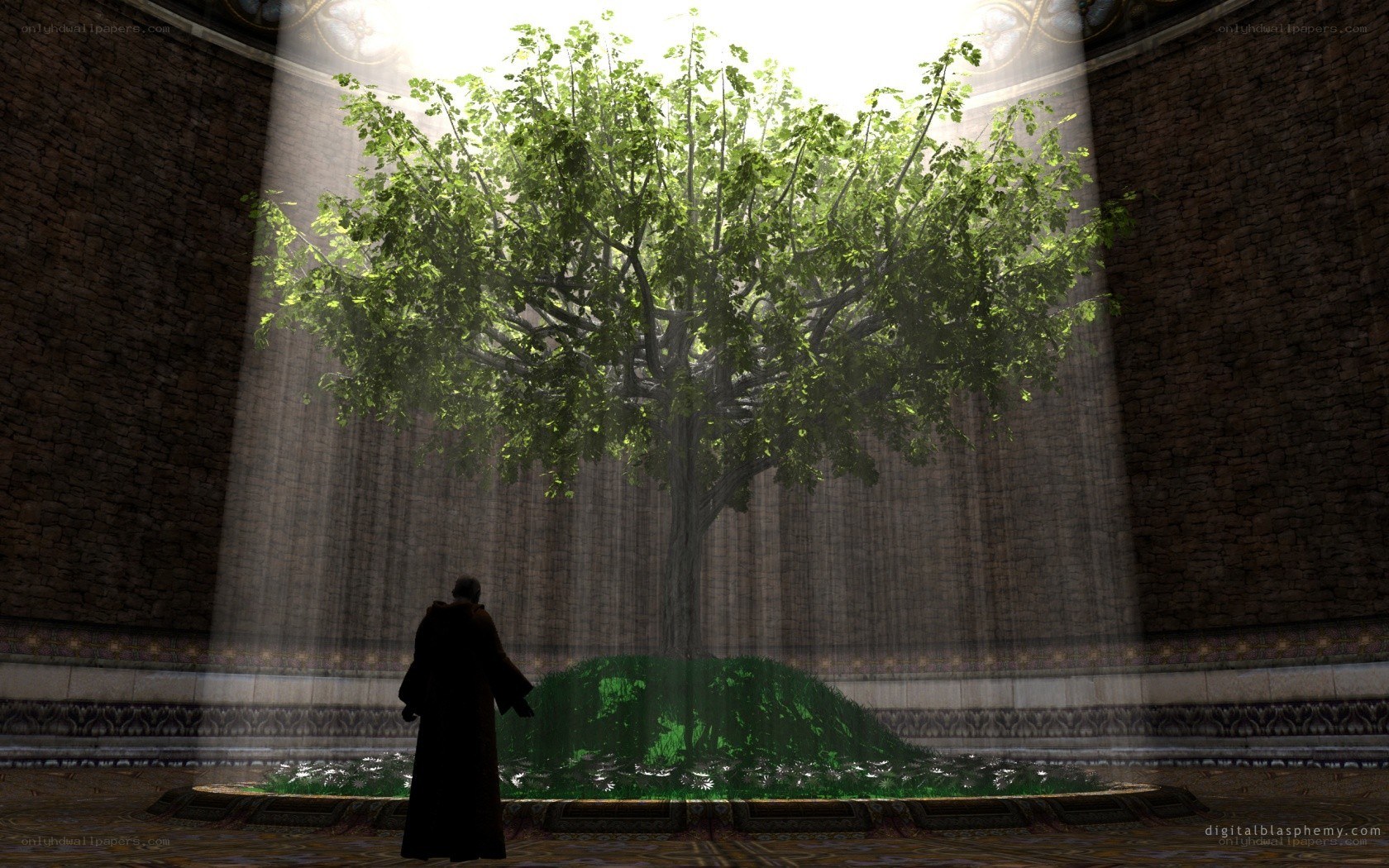 sacred tree in ancient hall