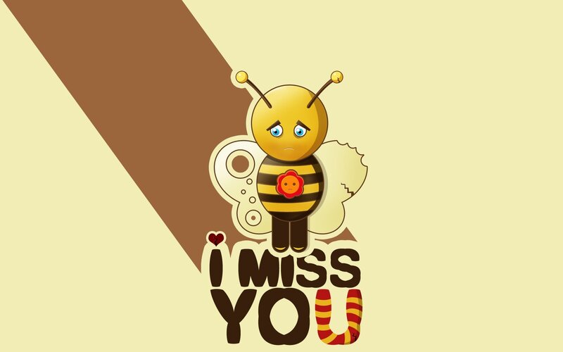 sad bee missing you