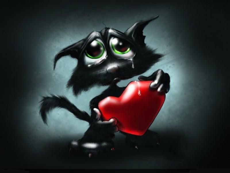 sad black cat with heart