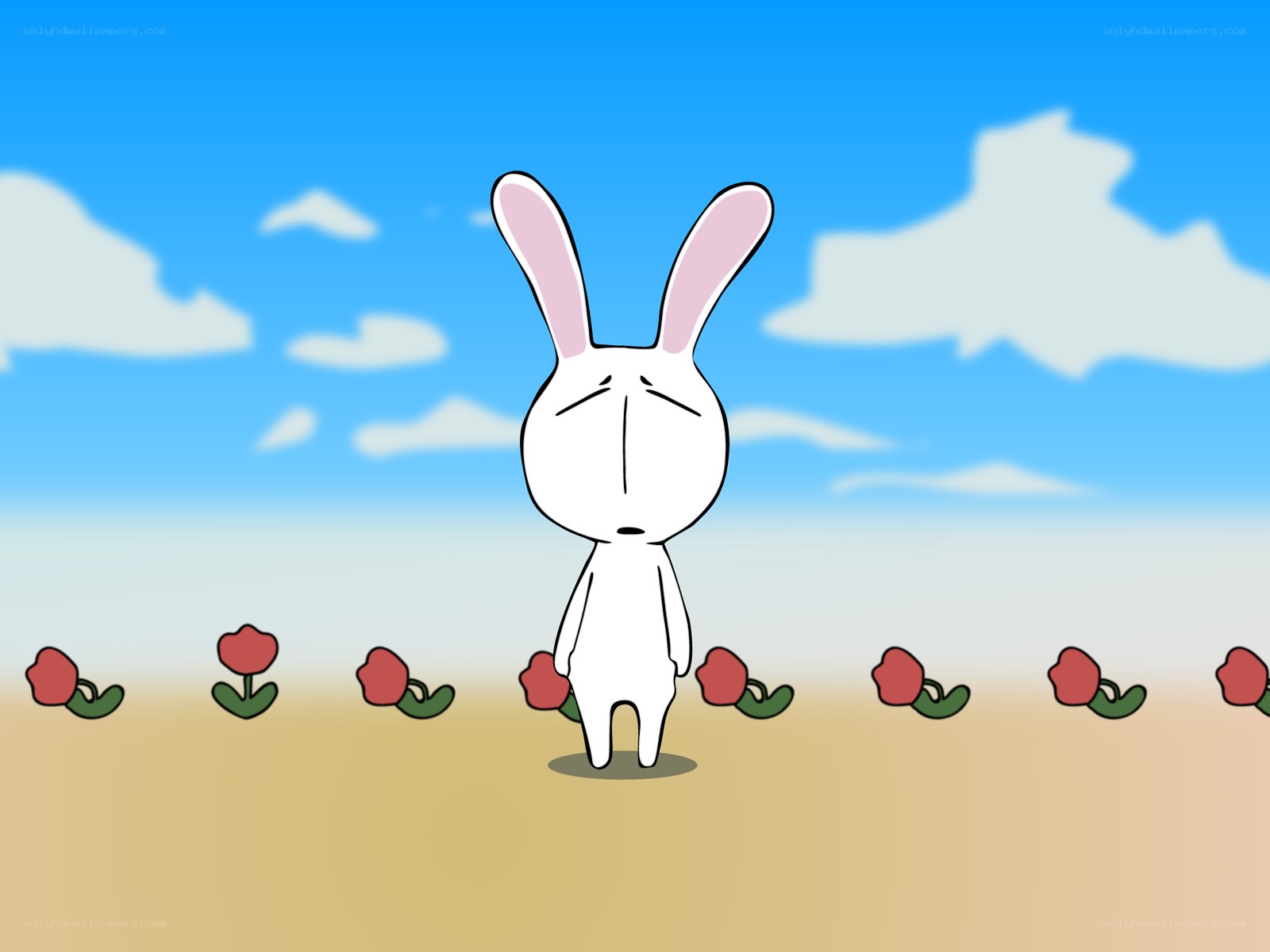 sad bunny in a field