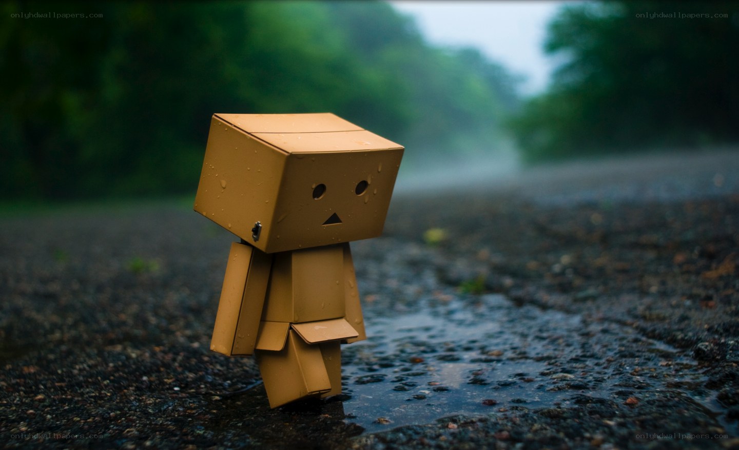 Sad cardboard robot in rain