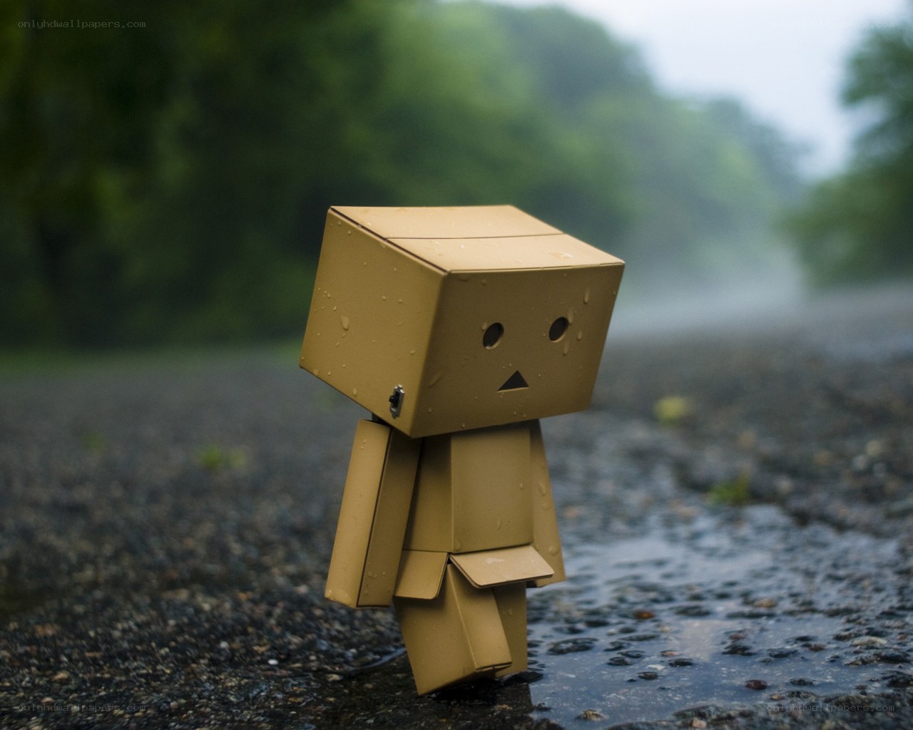 Sad cardboard robot in rain