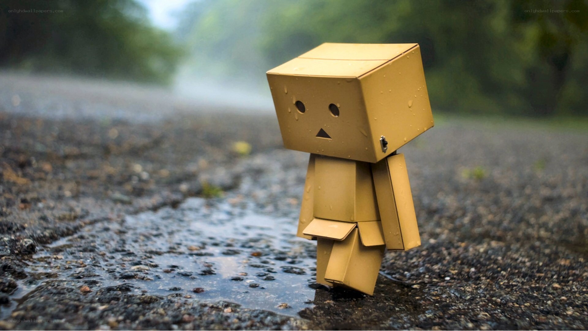 Sad cardboard robot in rain