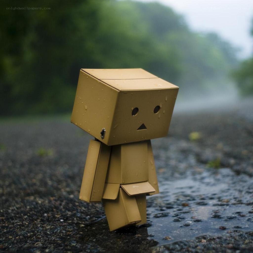 Sad cardboard robot in rain