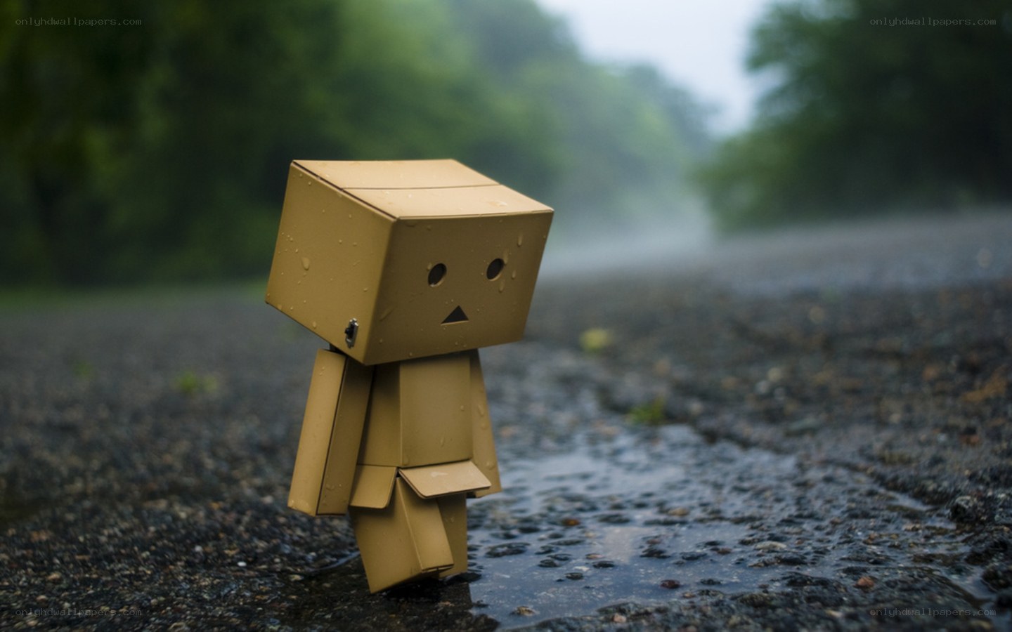 Sad cardboard robot in rain