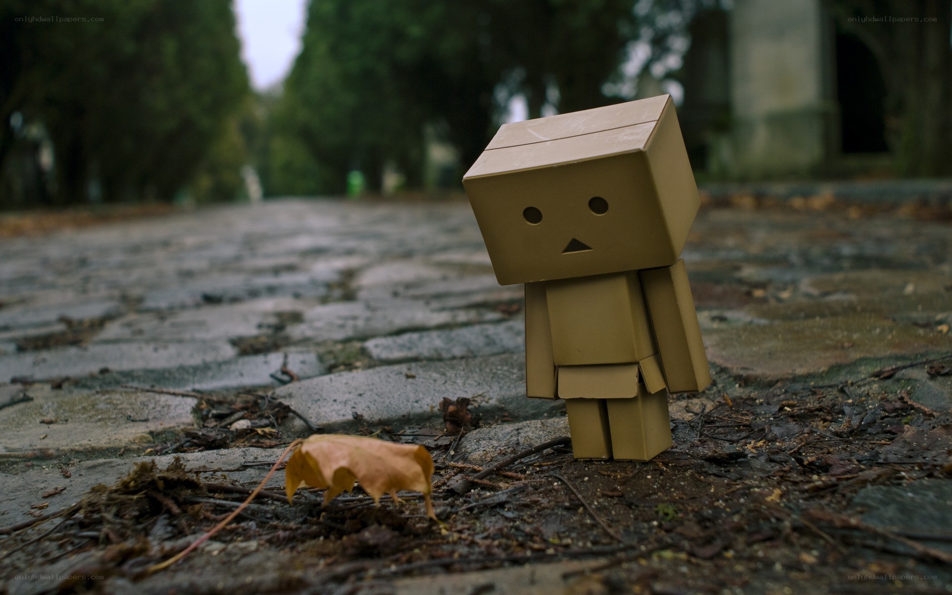 Sad cardboard robot on path