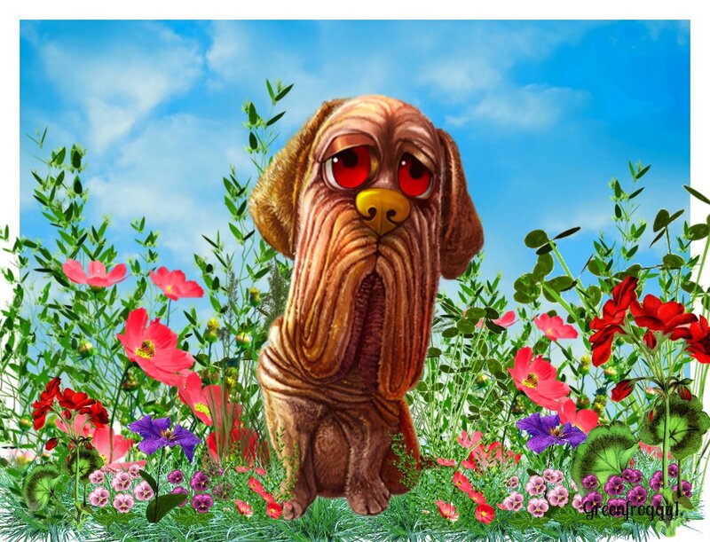 Sad Dog in Flowers