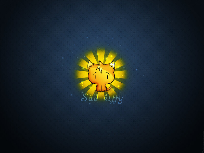 Sad kitty with sunburst