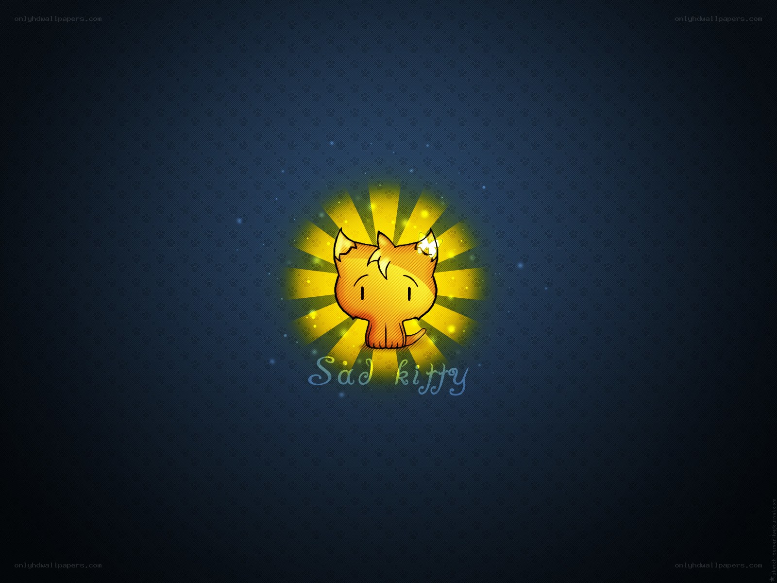 Sad kitty with sunburst