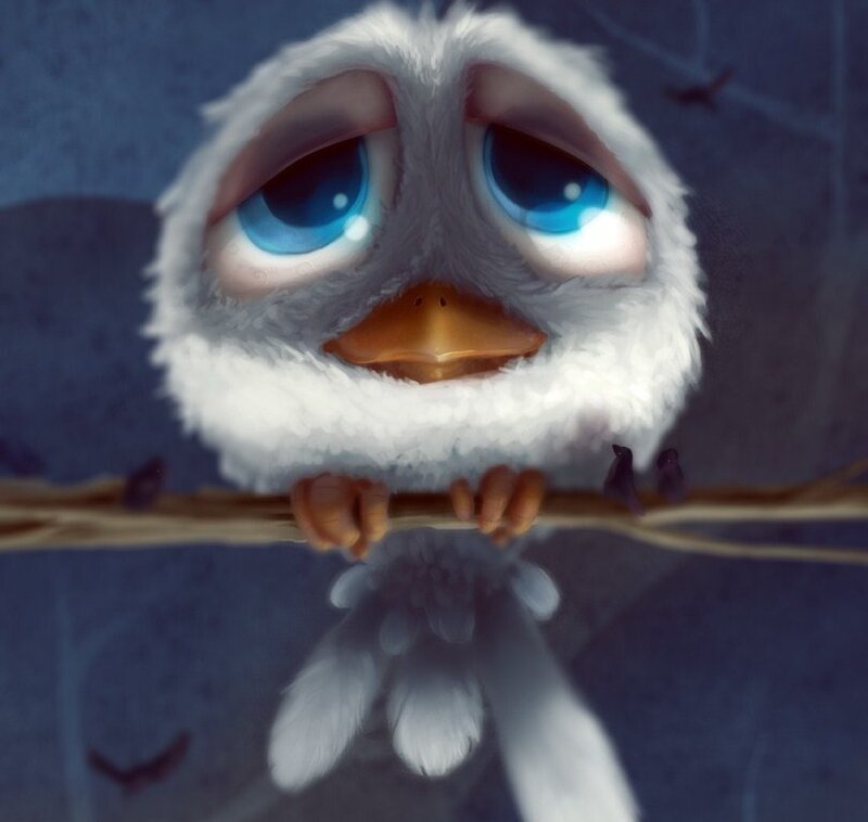 sad white bird on branch