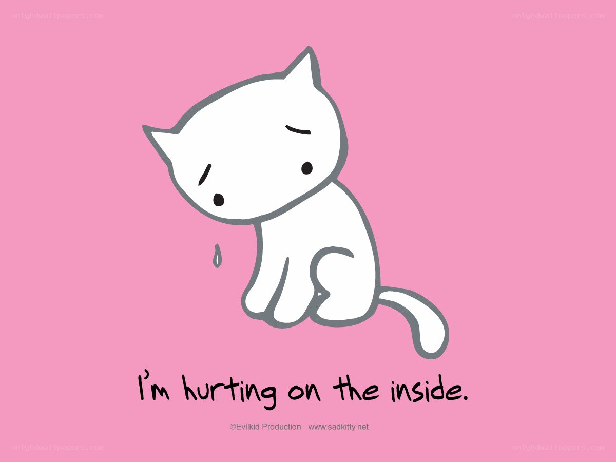 sad white cat illustration