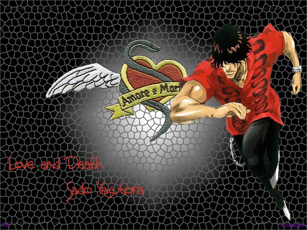 Sado Yakutora artwork