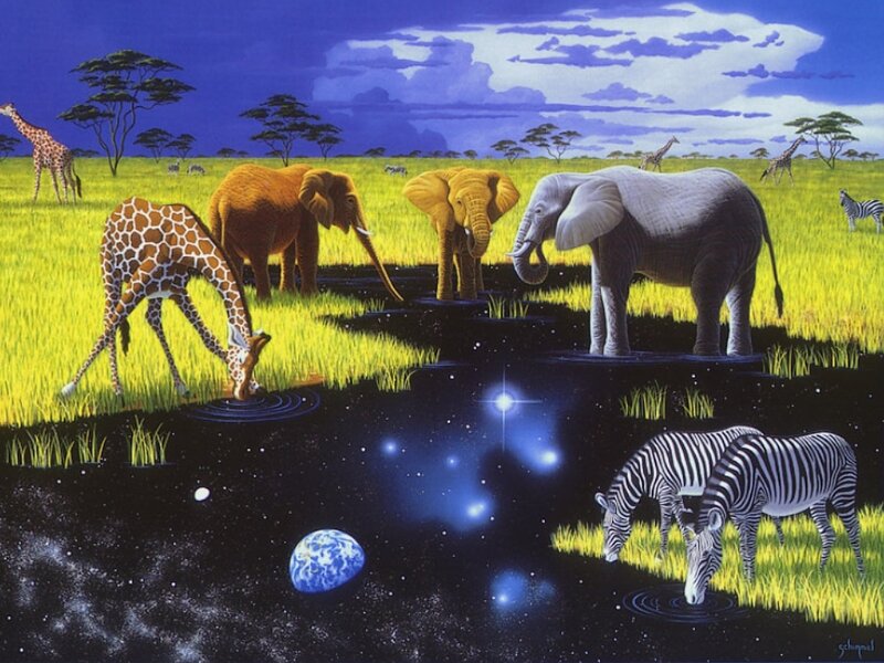 Safari Animals at Waterhole