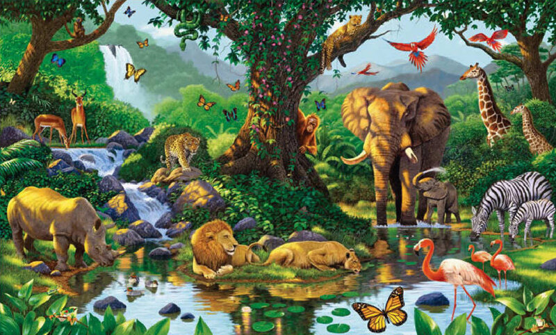 Safari Animals at Watering Hole